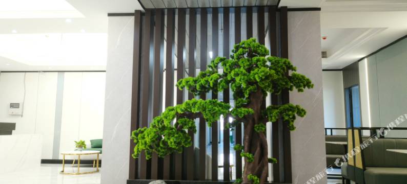 重庆博菲特商务酒店图片