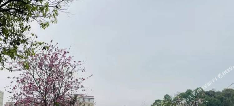 广州暖心小筑(华南农业大学珠江学院店)图片