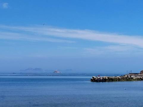 蓬莱砣矶169号院民宿