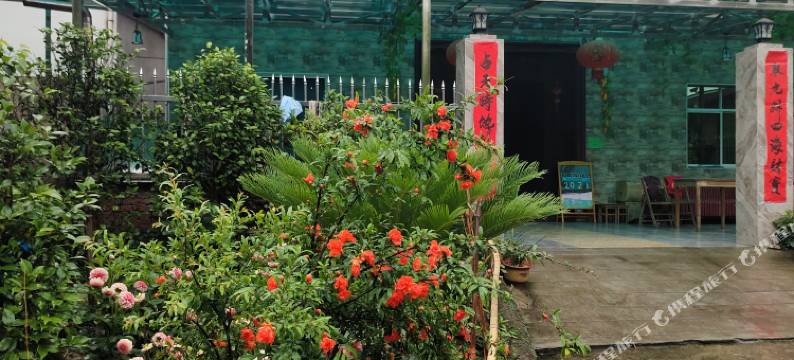 仙都望笋居民宿(鼎湖峰景区店)图片
