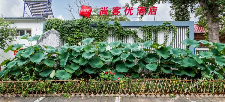 尚客优酒店(献县乐寿大街店)图片