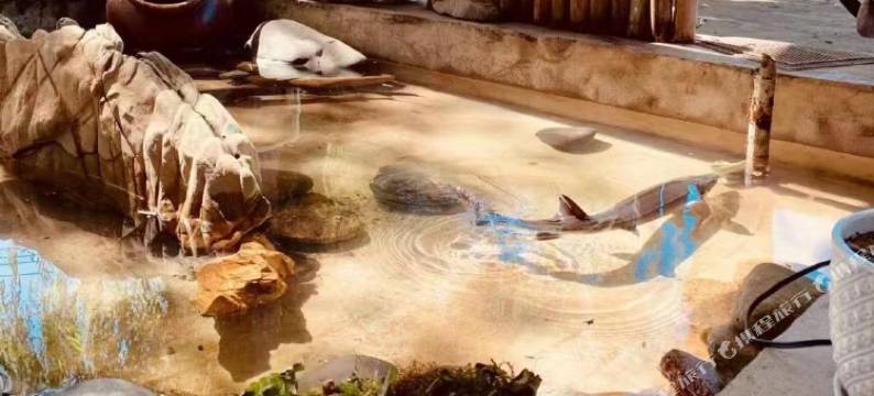 奇妙居民自然村+图片