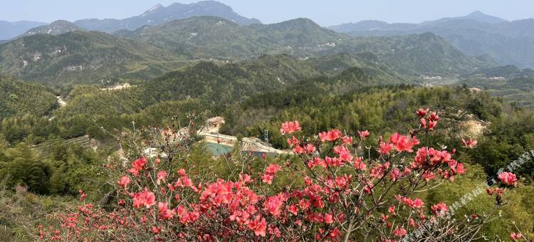 黄梅县德胜山庄图片