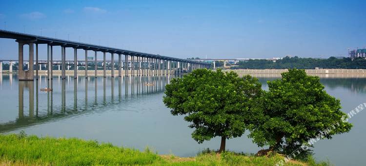 南充时代尚品酒店(石油大学店)图片