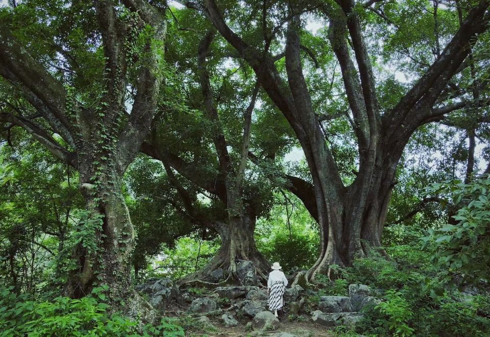 zhenshanheHotel Overview