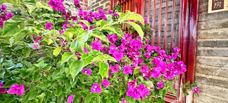 风花渡客栈(丽江古城店)图片