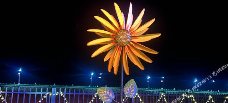 嘉荫王莹小院民宿图片