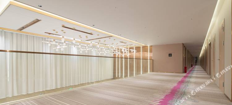 云天洲际酒店(那曲尼玛县店)图片