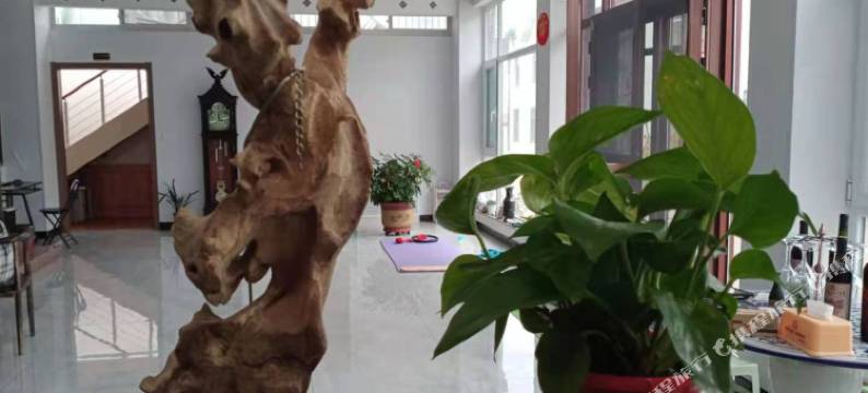 荣成老船长渔家乐图片