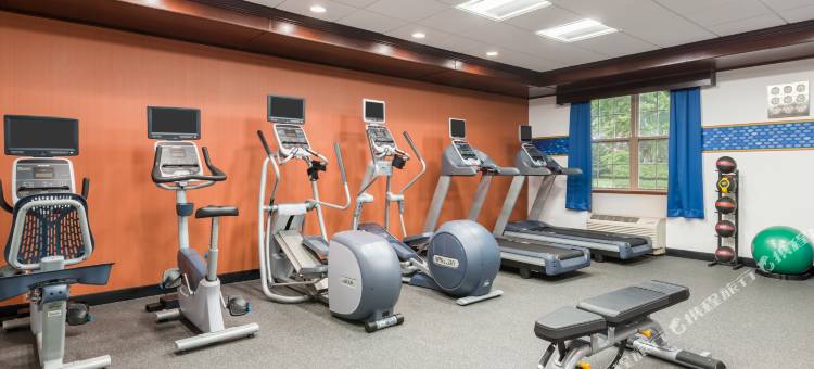 布法罗-威廉斯维尔欢朋酒店(Hampton Inn Buffalo-Williamsville)图片