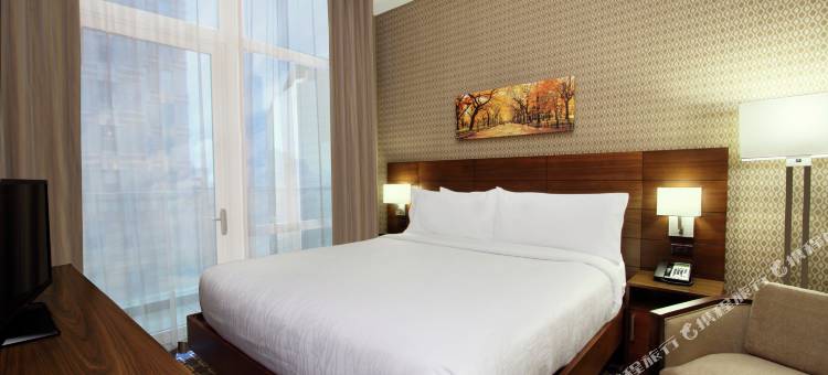 纽约/中城公园大道希尔顿花园酒店(Hilton Garden Inn New York/Midtown Park Avenue)图片