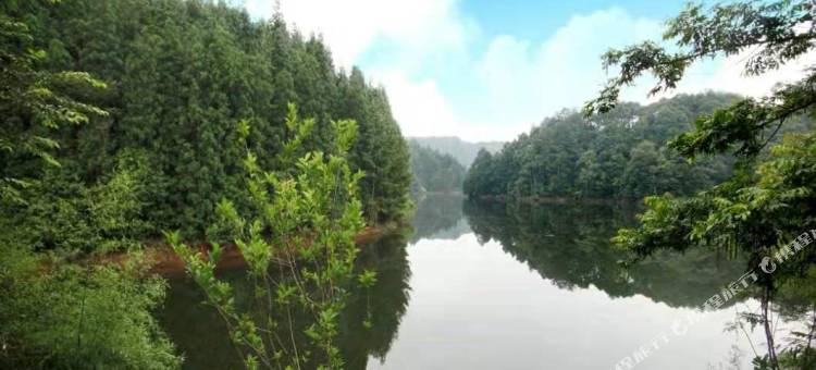 重庆森林湖度假村图片