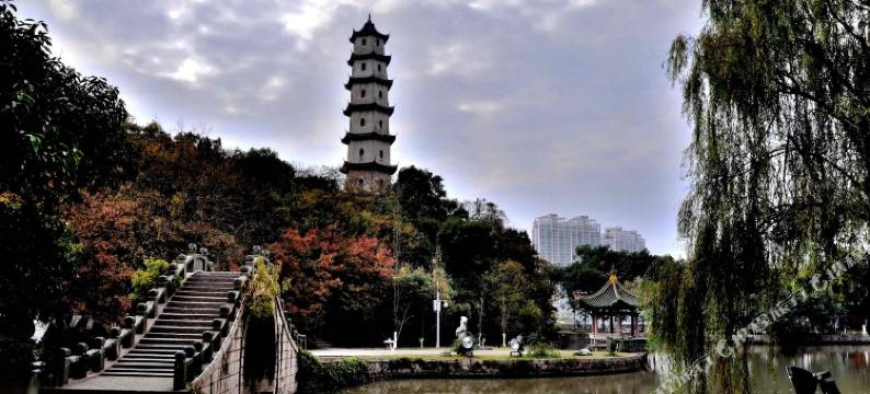 温州大姆士宾馆(五马步行街店)图片