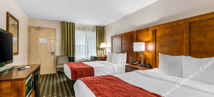 纳什维尔市中心舒适酒店-音乐城中心(Comfort Inn Downtown Nashville - Music City Center)图片