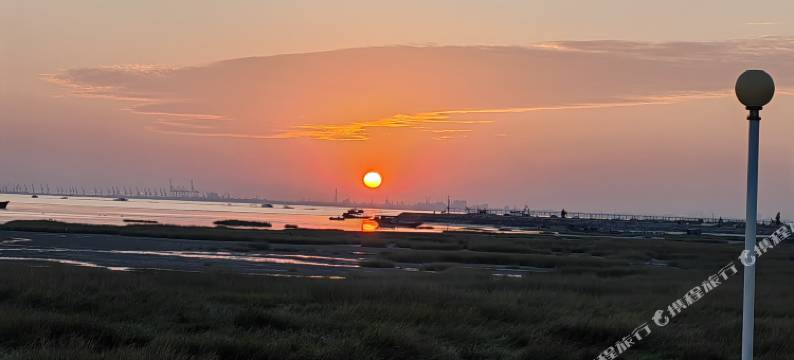 美人鱼小镇Mermaid图片