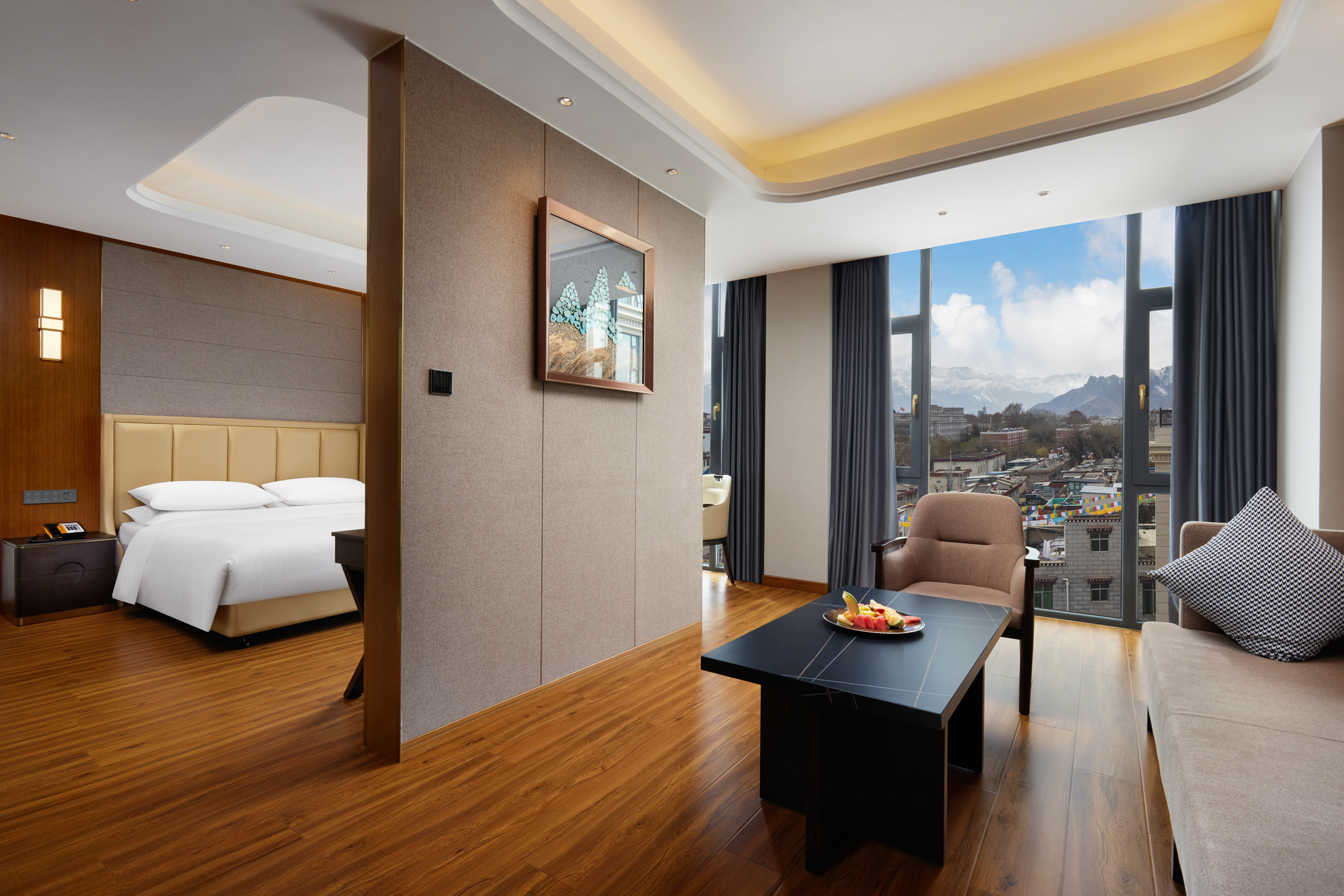 Lhasa Snow Paradise International Hotel (Potala Palace) Over view