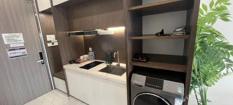 西柚LOFT公寓(万象城龙眼南路美食街店)图片