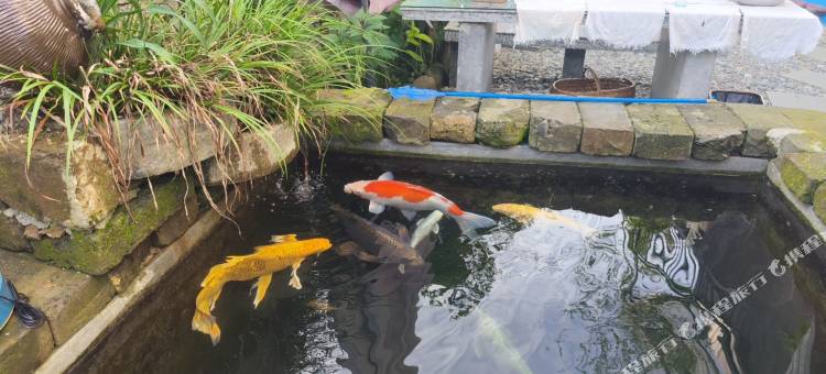 石台天池居·宿民宿图片