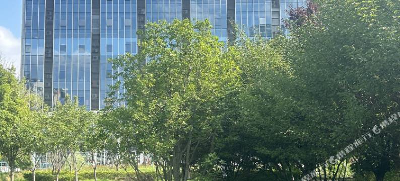 临泉W+电竞酒店图片