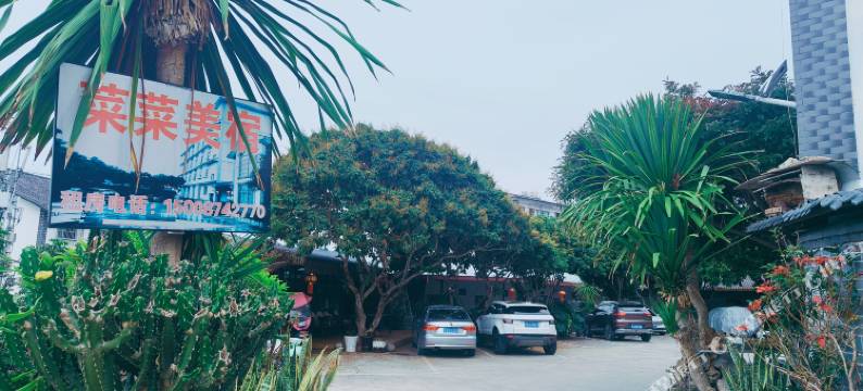 菜菜美宿青年旅舍图片