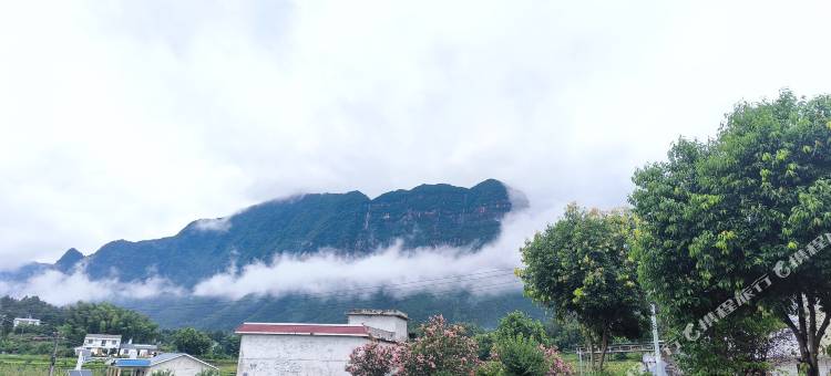 茶乡里民宿图片