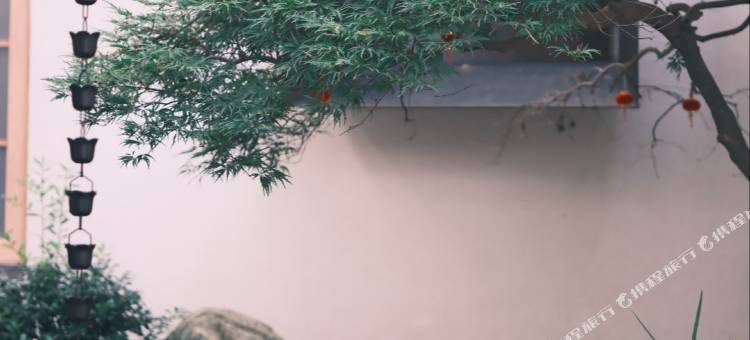 武夷山岭上溪舍(武夷山风景区竹筏码头店)图片