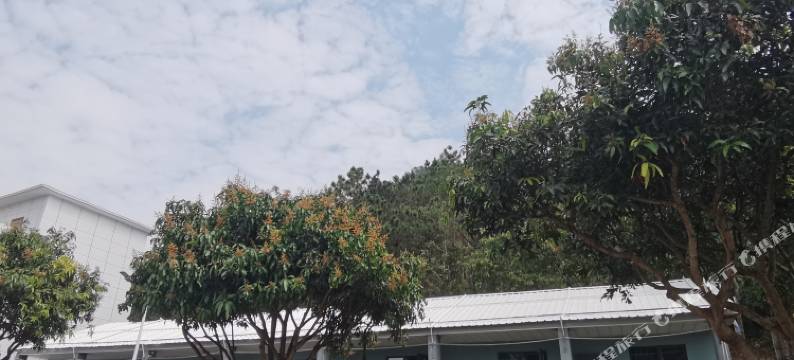 富友园林客栈图片