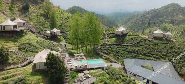 归旅·秦岭茶乡图片