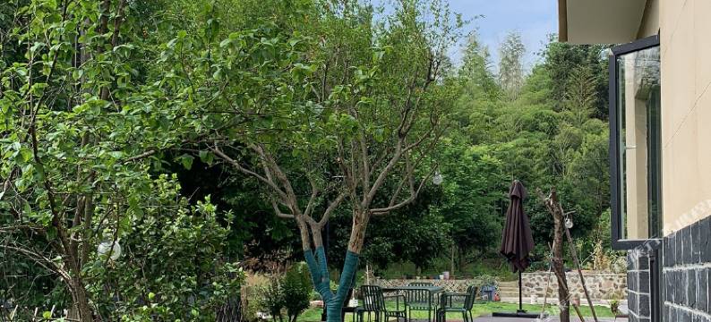 湖州小茶民宿图片