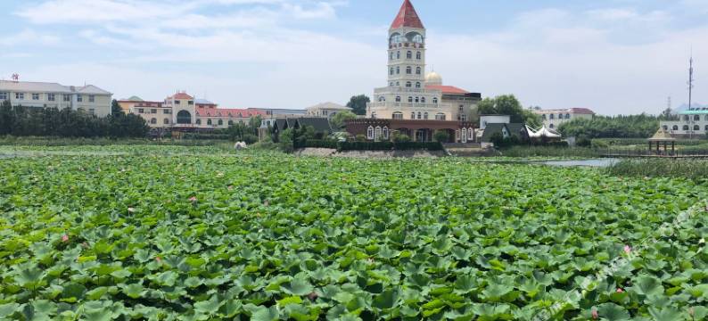 金海湾大酒店(日照森林公园店)图片