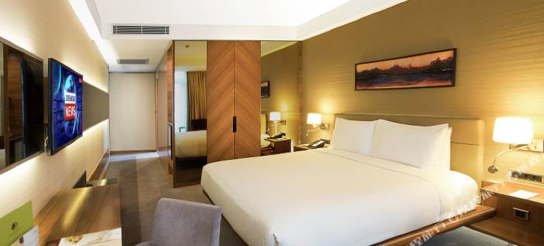 伊斯坦布尔老城希尔顿逸林酒店(DoubleTree by Hilton Istanbul - Old Town)图片