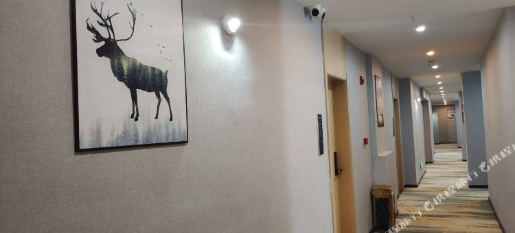 庐陵印象酒店(梦回庐陵景区吉安市政府店)图片