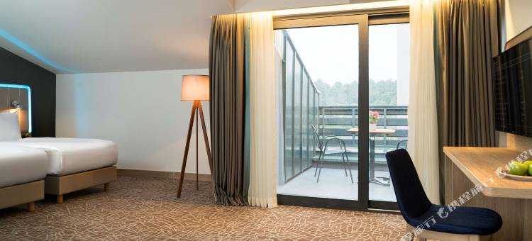 伊斯坦布尔机场丽柏酒店(Park Inn by Radisson Istanbul Airport, Odayeri)图片