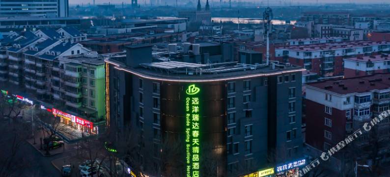 天津滨海新区瑞达春天精品酒店(滨海高铁站店)图片