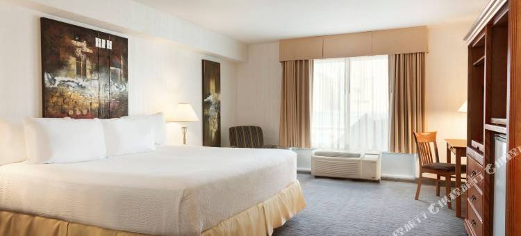 尼亚加拉瀑布旁中心街戴斯套房酒店(Days Inn by Wyndham Niagara Falls Centre St. by the Falls)图片