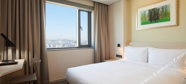 九树帕那斯首尔东大门(NINE TREE BY PARNAS SEOUL DONGDAEMUN)图片