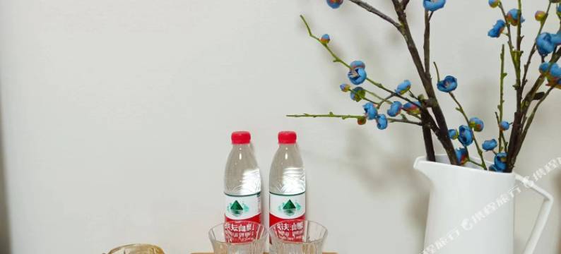 星河之旅民宿图片