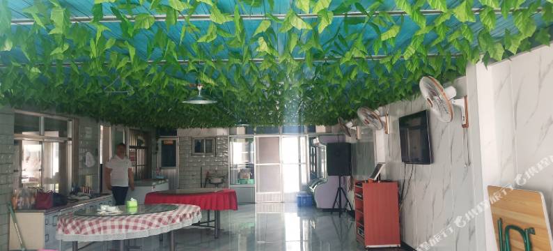 乐亭009号农家院图片