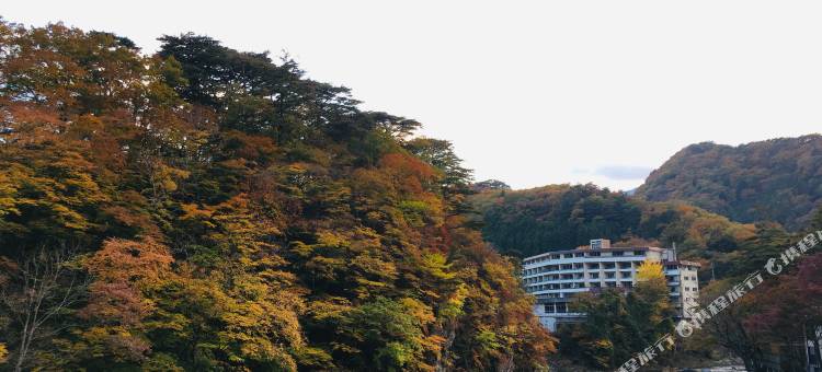 日光花园酒店(Nikko Garden Hotel)图片