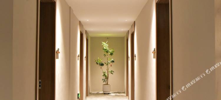 野·还行民宿图片