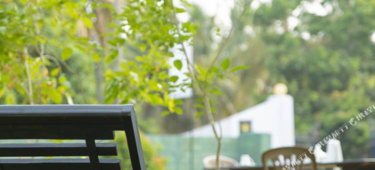 尼甘布Bliss Loft公寓(Bliss Loft Negombo)图片