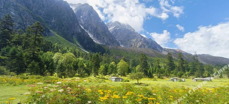 波密仙境宾馆图片