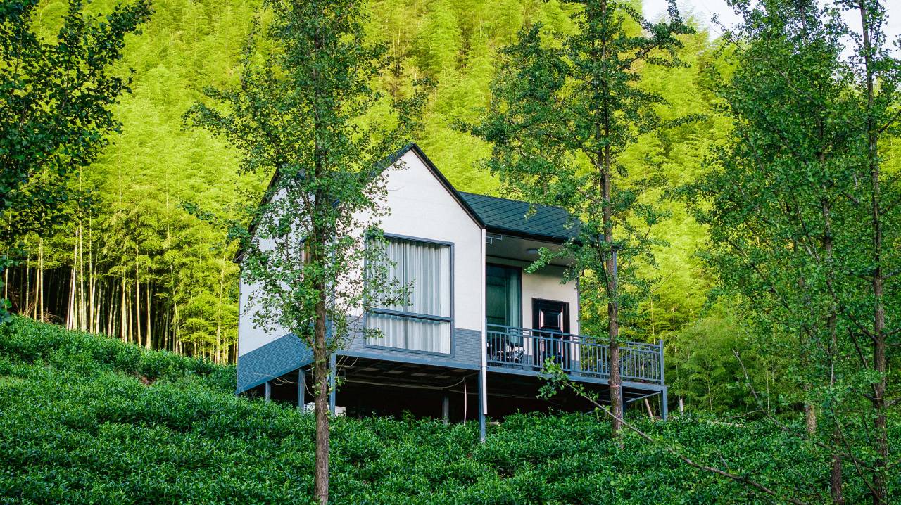 茶野CHAYE丨临雾竹畔・茶园私汤温泉度假野奢美宿图片