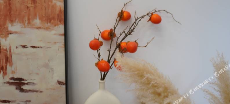 镇远观江民宿(新大桥店)图片