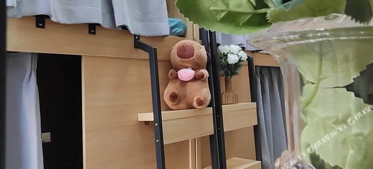 重命名青年旅舍(同福西地铁站沙面岛店)图片