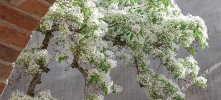 易佰连锁旅店(福州大名城五里亭地铁站店)图片