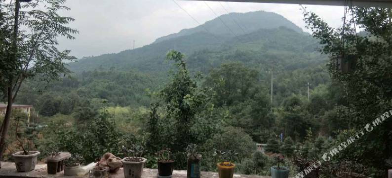 邛崃天车坡农庄图片