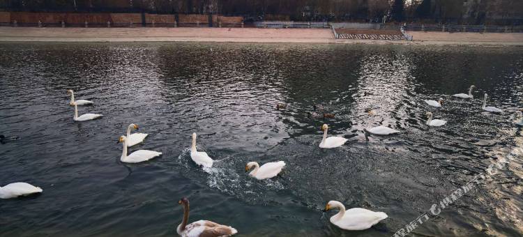 库尔勒澜都精品酒店(孔雀河店)图片