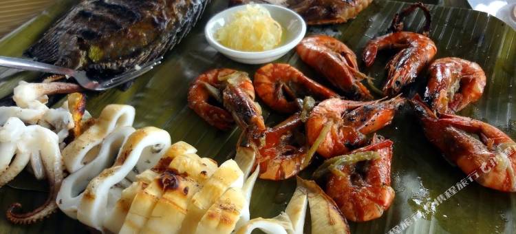 可可特尔热带城堡潜水度假村(Tropicana Castle Dive Resort powered by Cocotel)图片