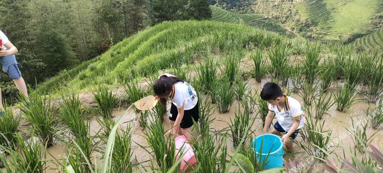 花筑·龙胜龙脊一号云端民宿(龙脊梯田一号观景台店)图片